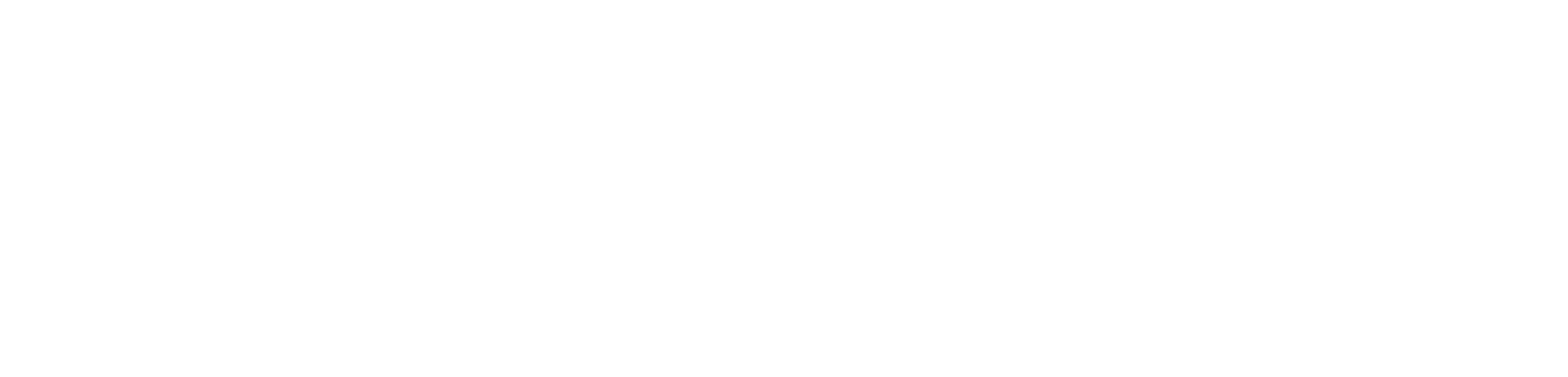 Birdeye